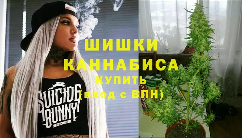 Каннабис OG Kush  Людиново 